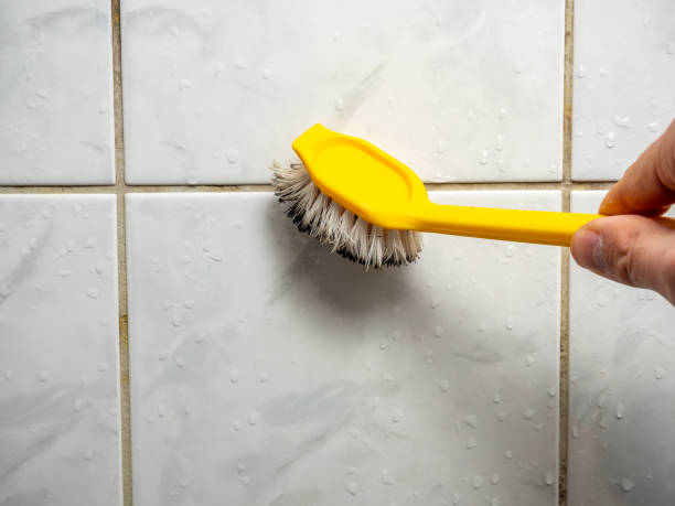 Best Best Mold Removal Companies  in Hamilton, IN