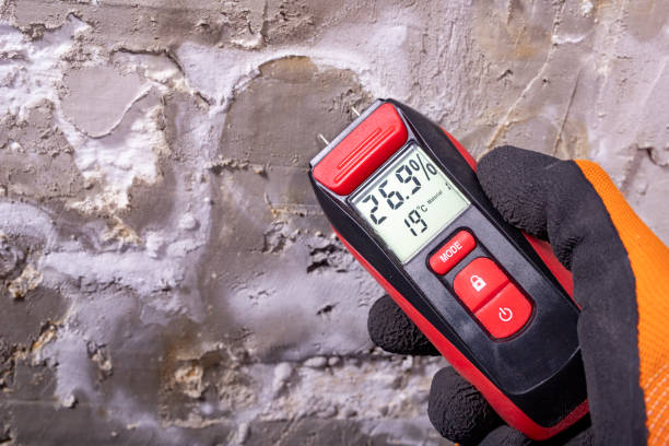 Best Crawl Space Mold Removal  in Hamilton, IN