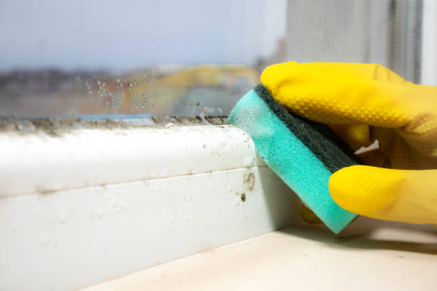 Best Mold Testing  in Hamilton, IN