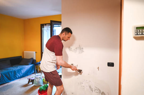 Trusted Hamilton, IN Mold Removal Experts